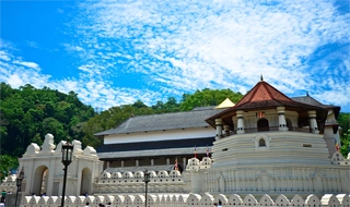 Explore Kandy, Nuwara Eliya and Bentota in Sri Lanka